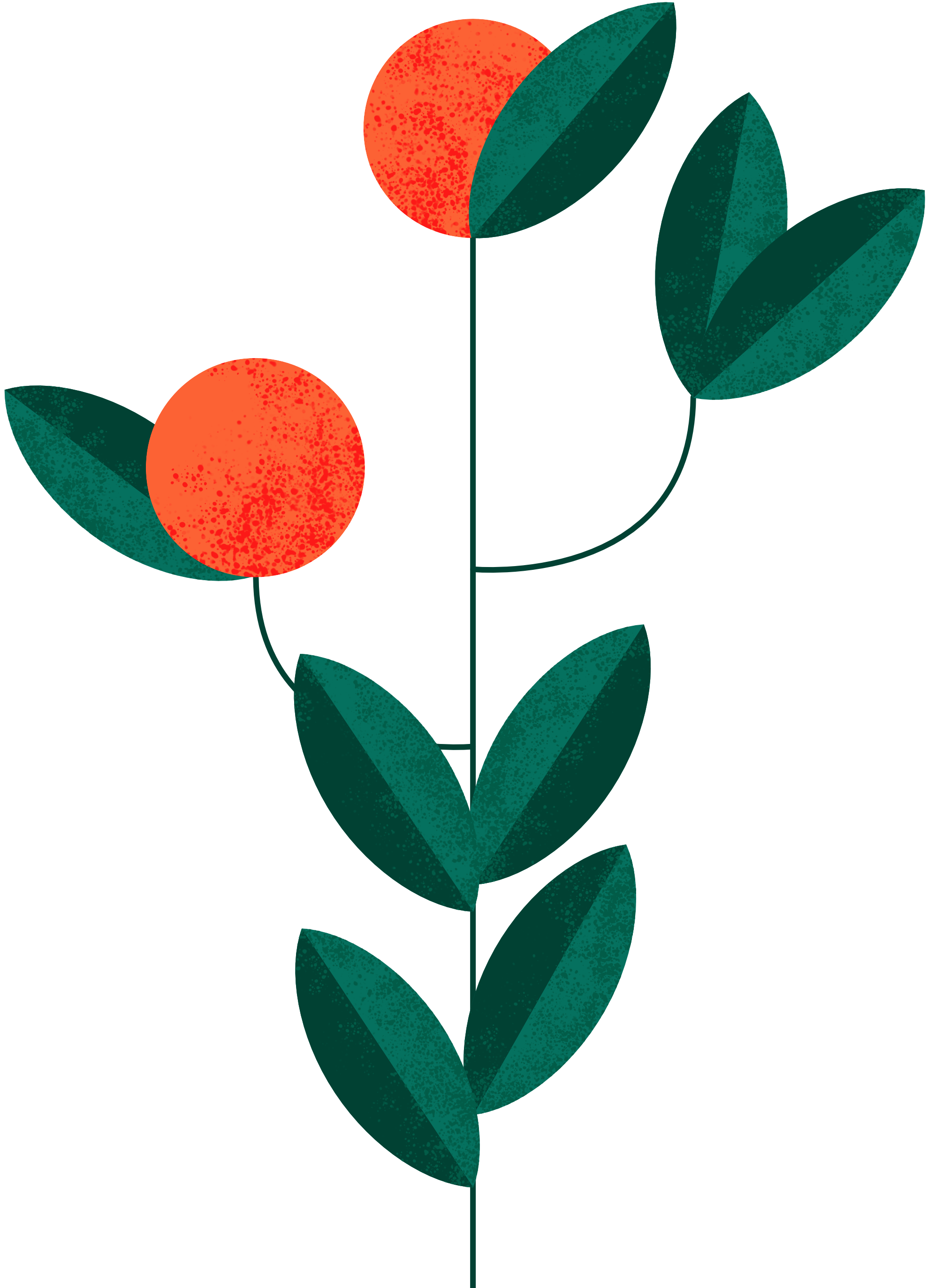 Branch